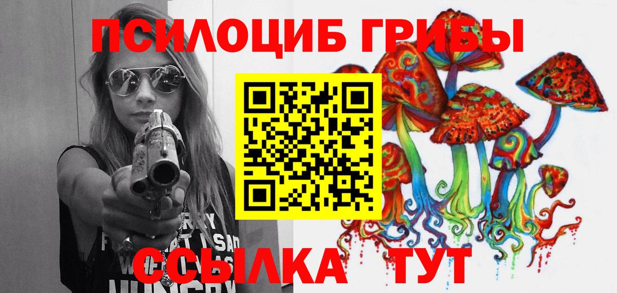 Псилоцибиновые грибы Psilocybe Кировск