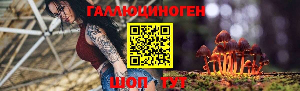 Галлюциногенные грибы прущие грибы  Вход с VPN  Кировск 